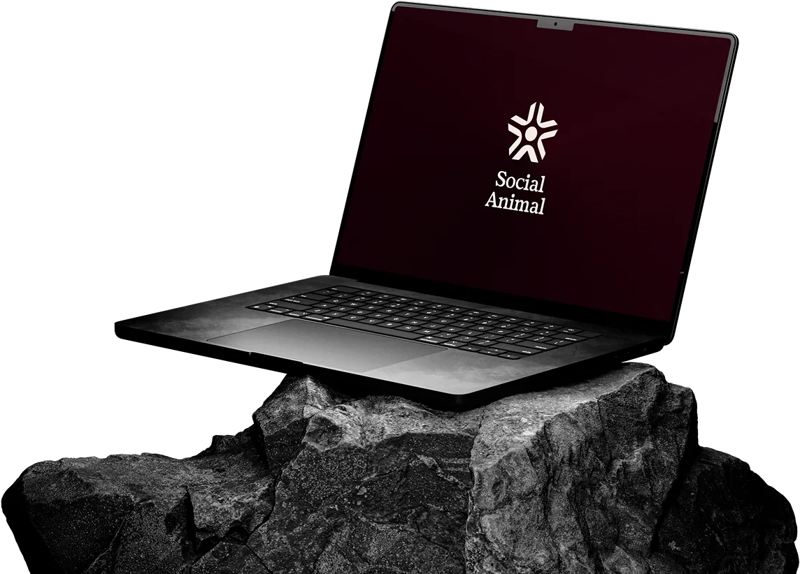 Social Animal on a laptop