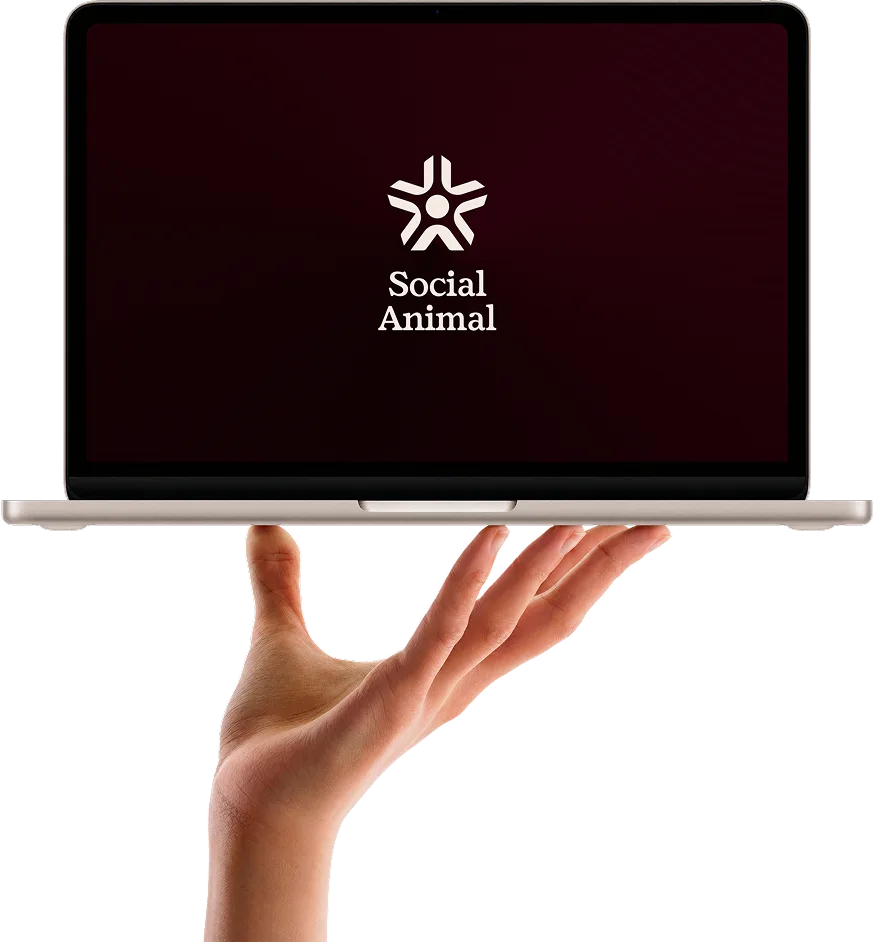 Social Animal on a laptop